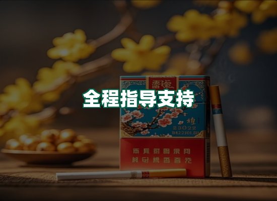 核心优势